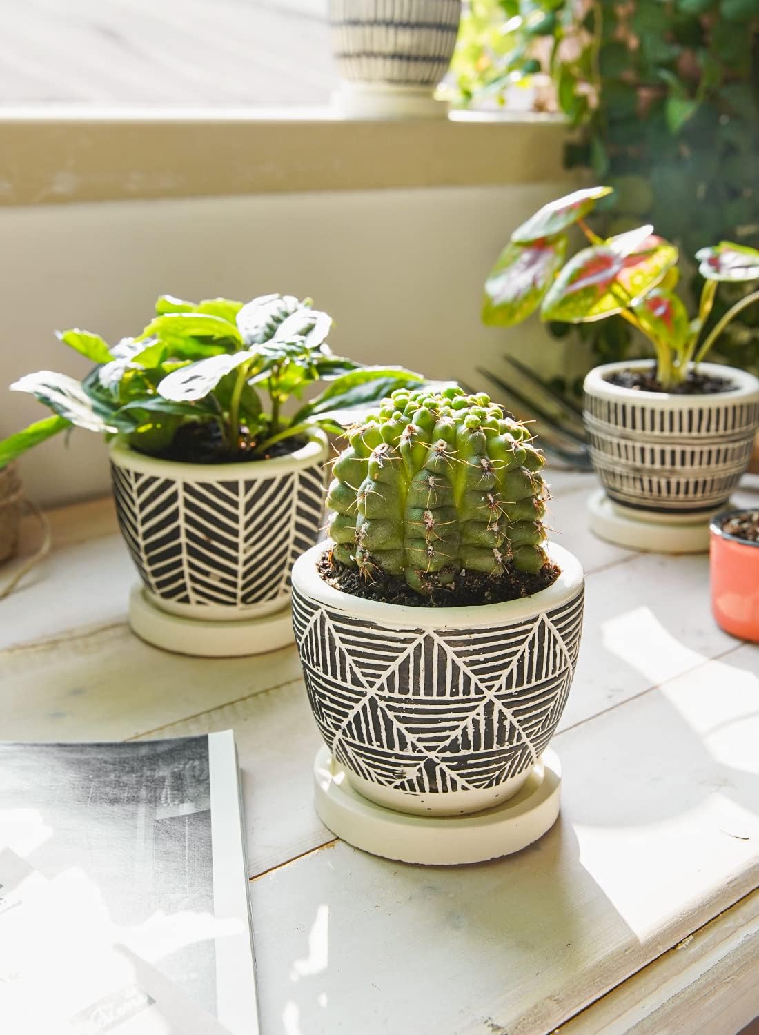 Boho Succulent Pots