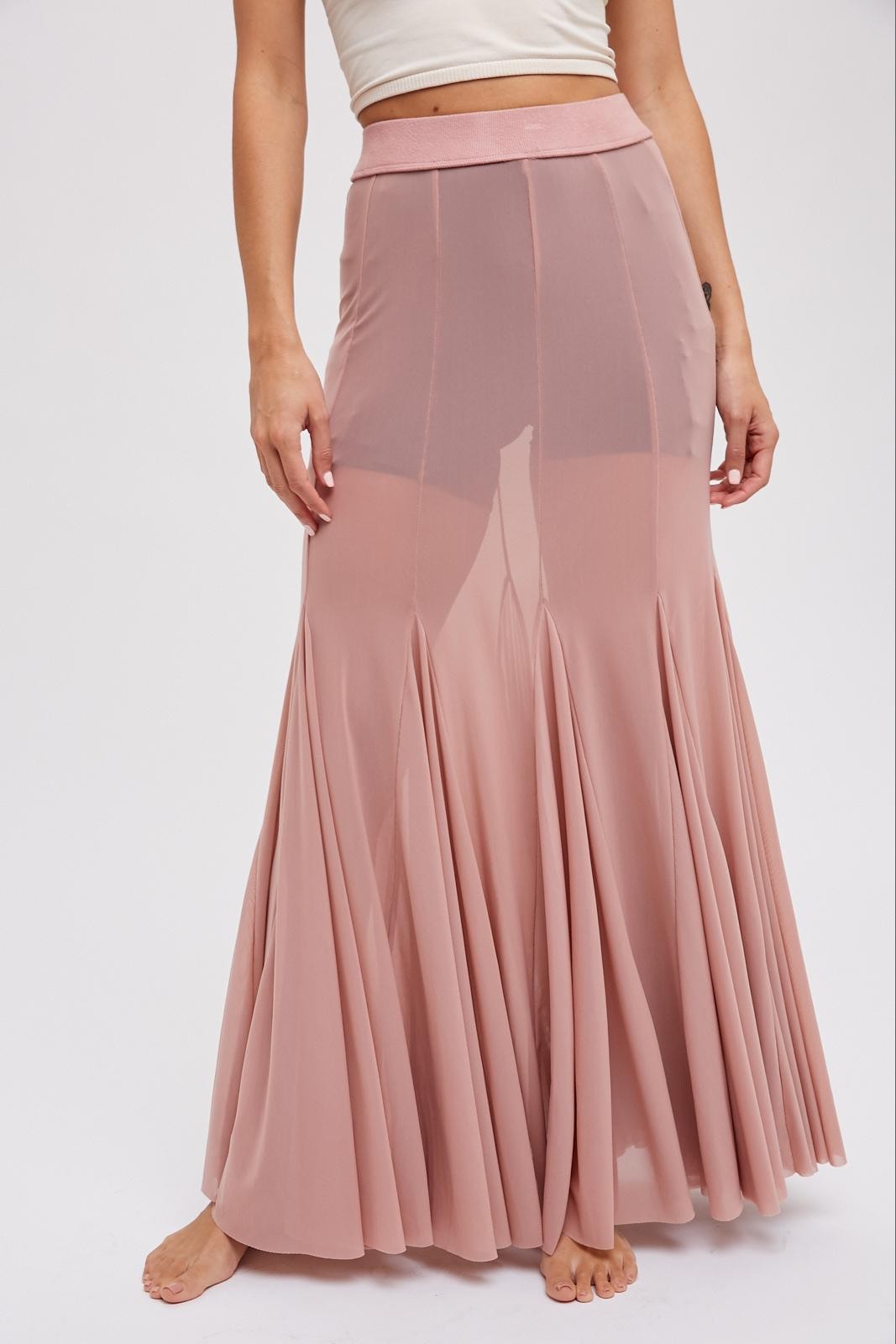 Sheer Mesh Maxi Skirt